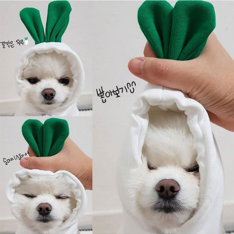 Small & Medium Pet Fleece Sweatshirt With Fruit Hood