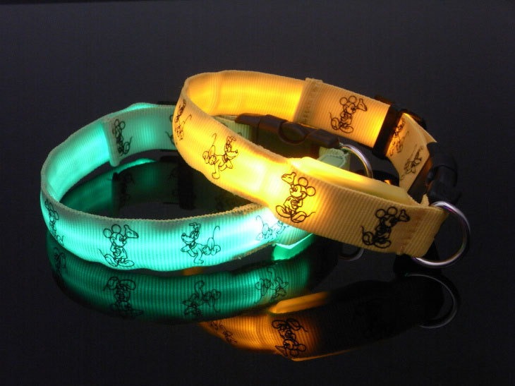 LED Dog Collar for Small Dogs Nighttime Visibility