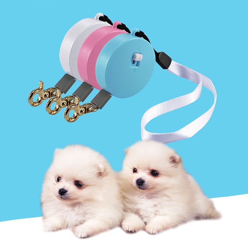 Retractable Leash for Small Pets | Controlled Walks