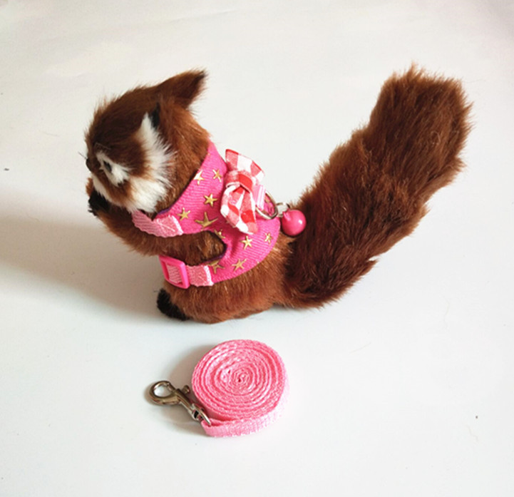 Small Pet Harness Set — Colorful Supervised Exploring