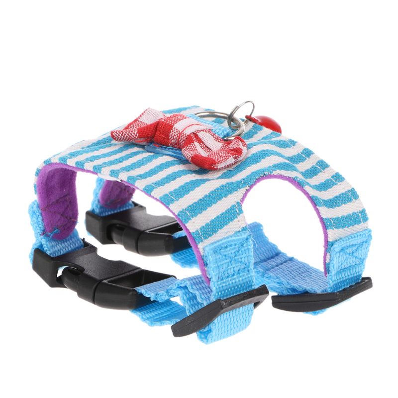 Small Pet Harness Set — Colorful Supervised Exploring