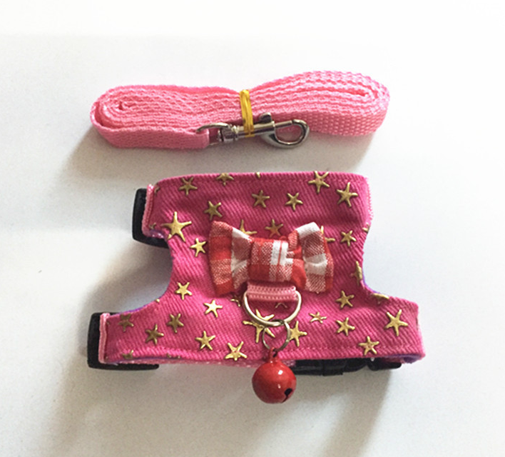 Small Pet Harness Set — Colorful Supervised Exploring