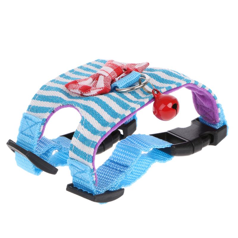 Small Pet Harness Set — Colorful Supervised Exploring