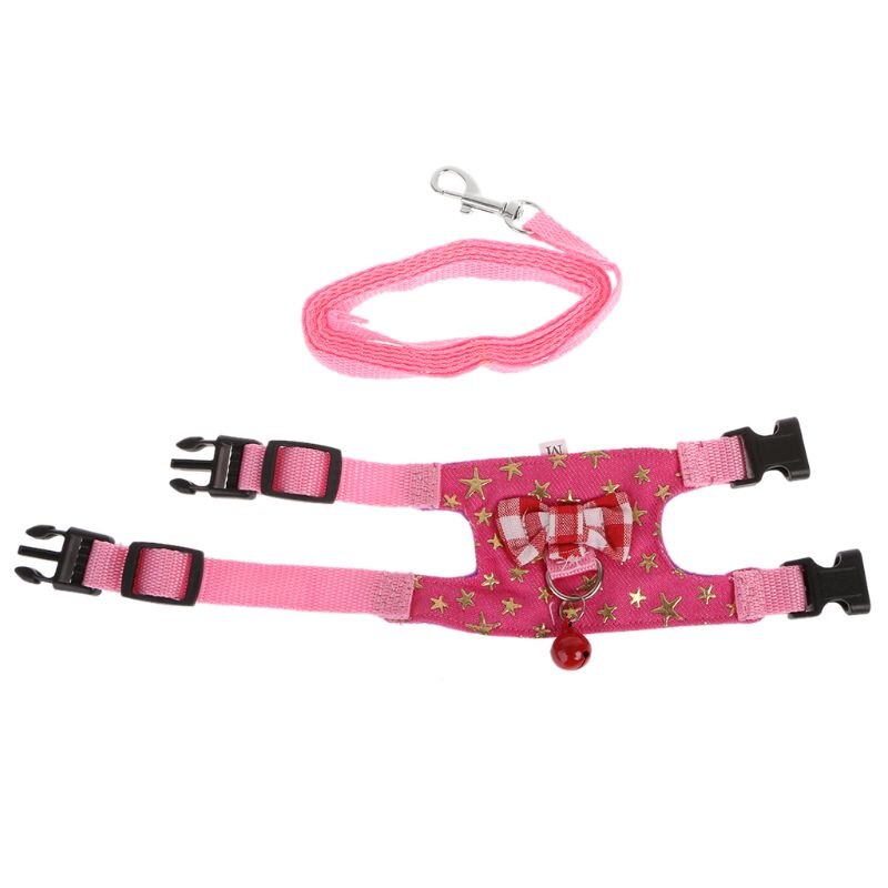Small Pet Harness Set — Colorful Supervised Exploring