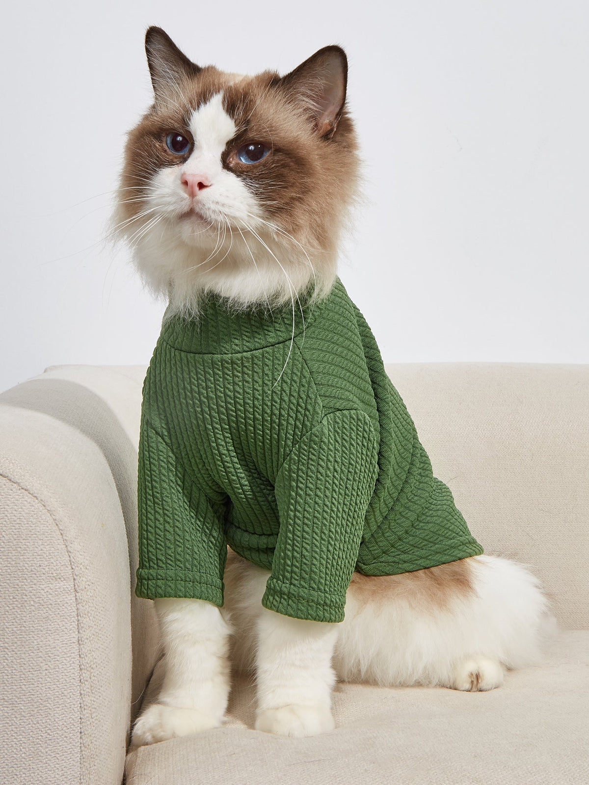 Dog Coats Sweaters — Soft Knit Coverage For Small Dogs