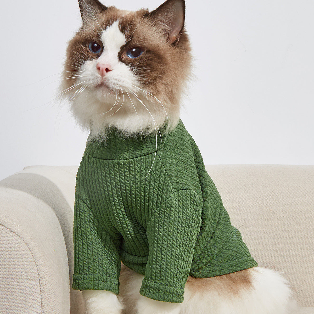 Dog Coats Sweaters — Soft Knit Coverage For Small Dogs