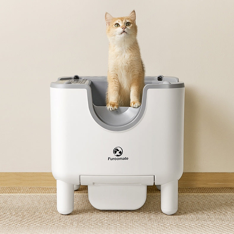 Smart Cat Litter Box for Easier Daily Cat Cleanup