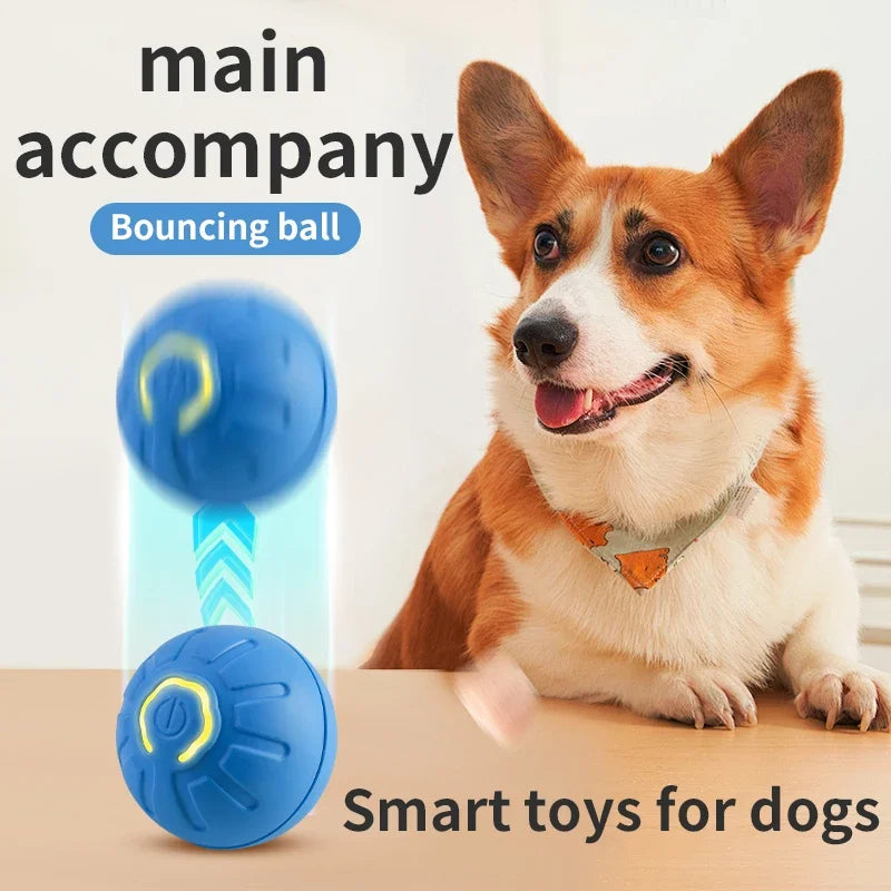 Interactive Dog Ball for Engaging Indoor Dog Exercise