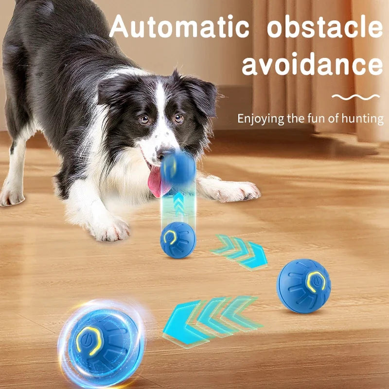 Interactive Dog Ball for Engaging Indoor Dog Exercise