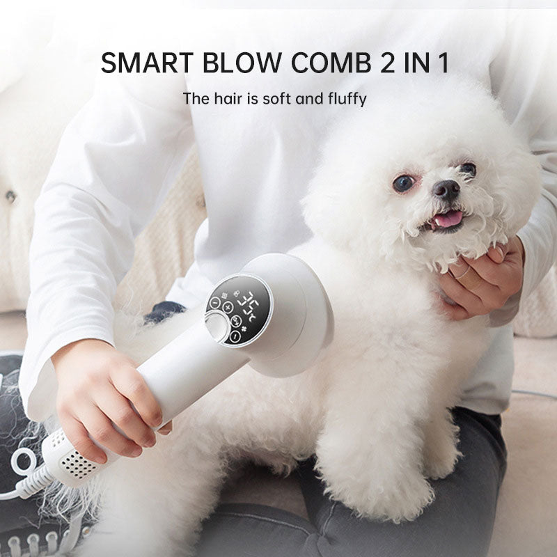 Smart Pet Hair Dryer Brush for Fluffy, Tangle-Free Coats