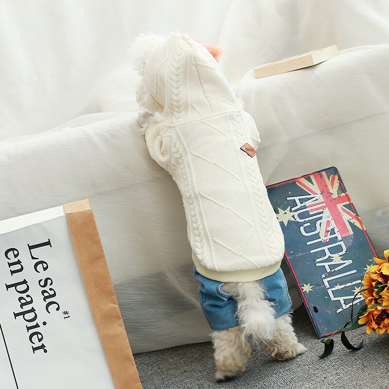Small Dog Sweater Cozy Knit Warmth for Pugs Outdoors