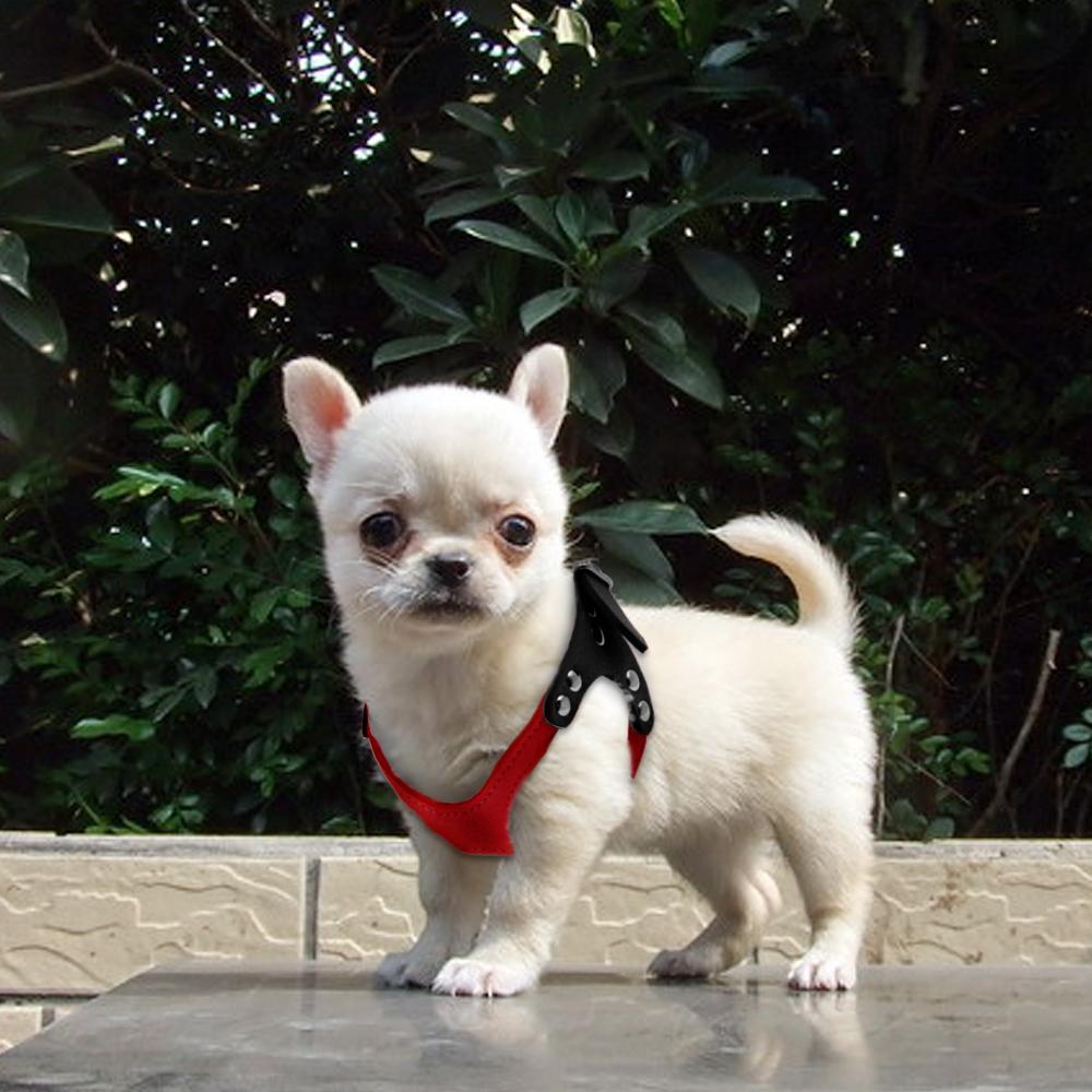 Soft Suede Dog Harness for Small Chihuahuas & Yorkies