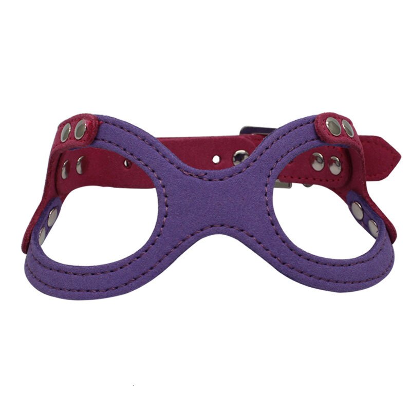 Small Dog & Cat Vest Harness for Comfy, Secure Walks