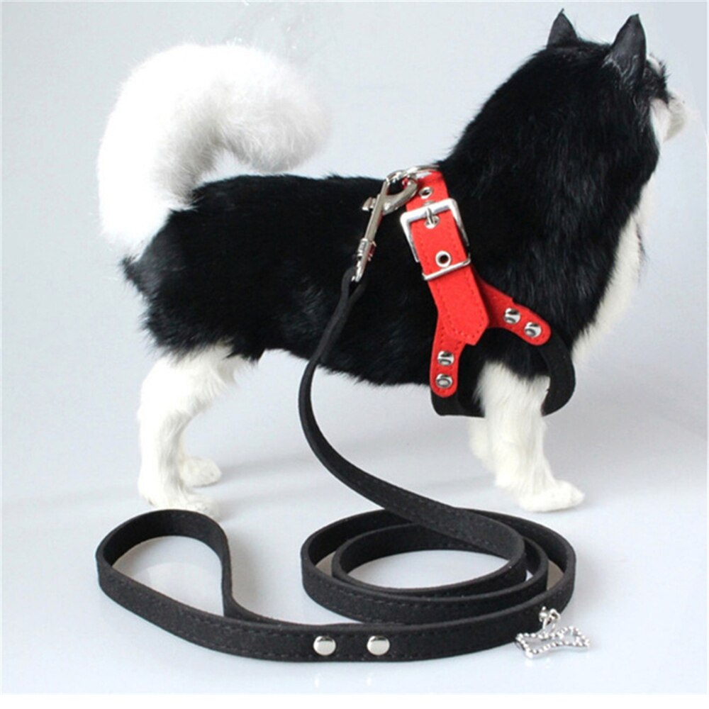 Small Dog & Cat Vest Harness for Comfy, Secure Walks