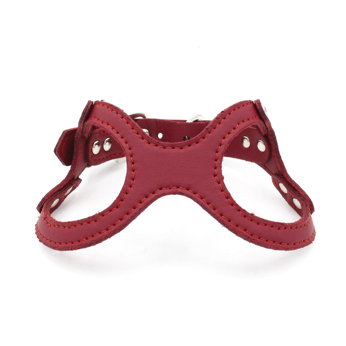 Small Dog & Cat Vest Harness for Comfy, Secure Walks