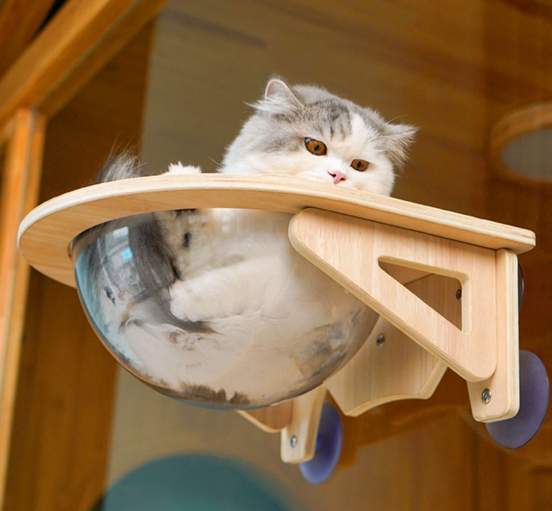 Cat Window Perch With Solid Wood Clear Bubble Bowl