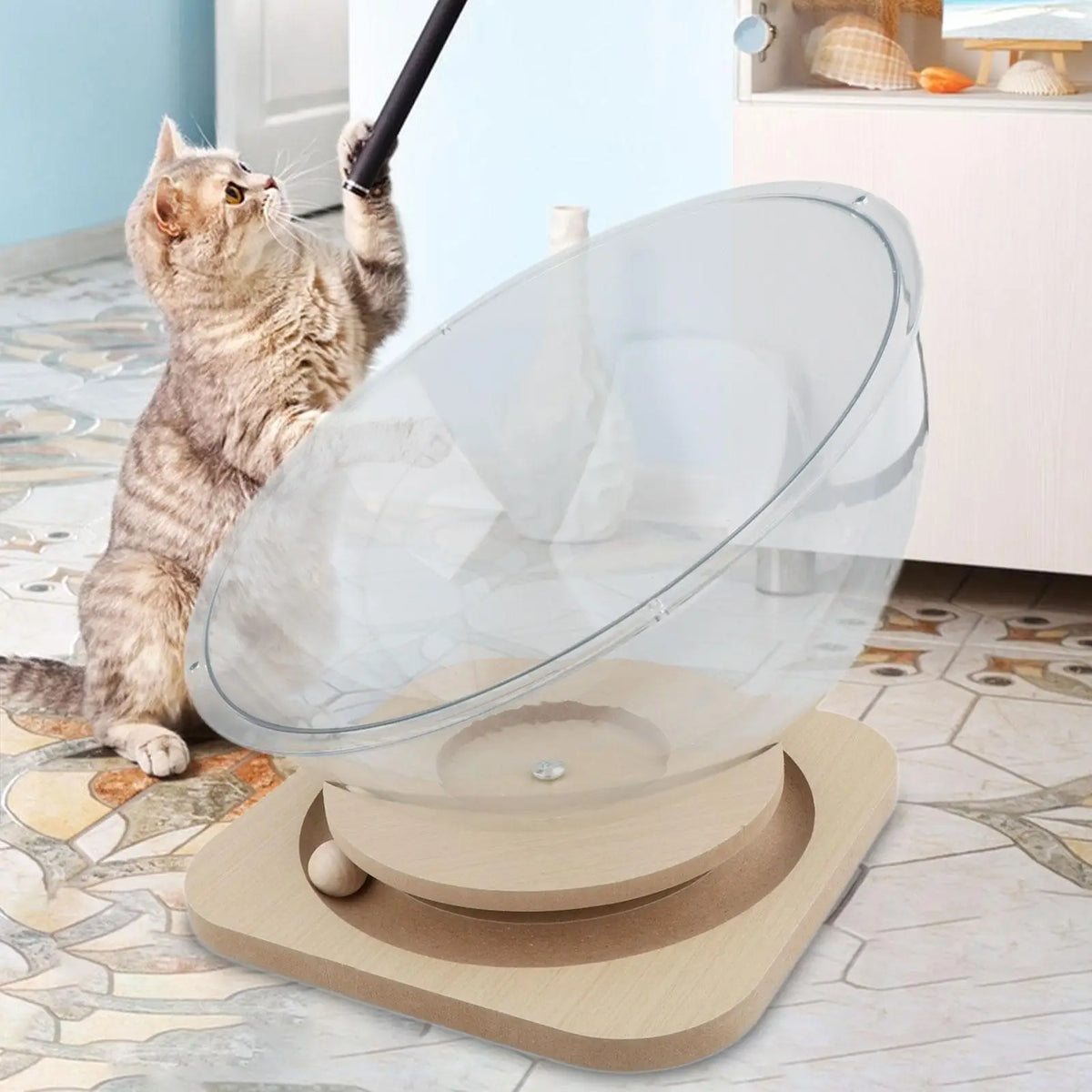 Acrylic Cat Bed Capsule Retreat for Elevated Cat Lounging