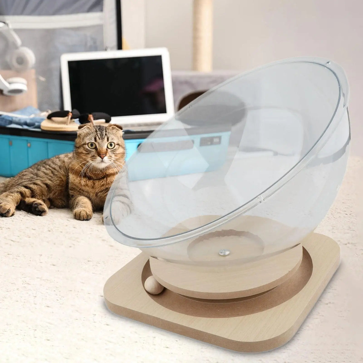 Acrylic Cat Bed Capsule Retreat for Elevated Cat Lounging