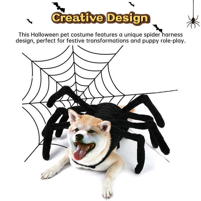 Spider Back Pet Costume for Cats, Puppies & Small Dogs