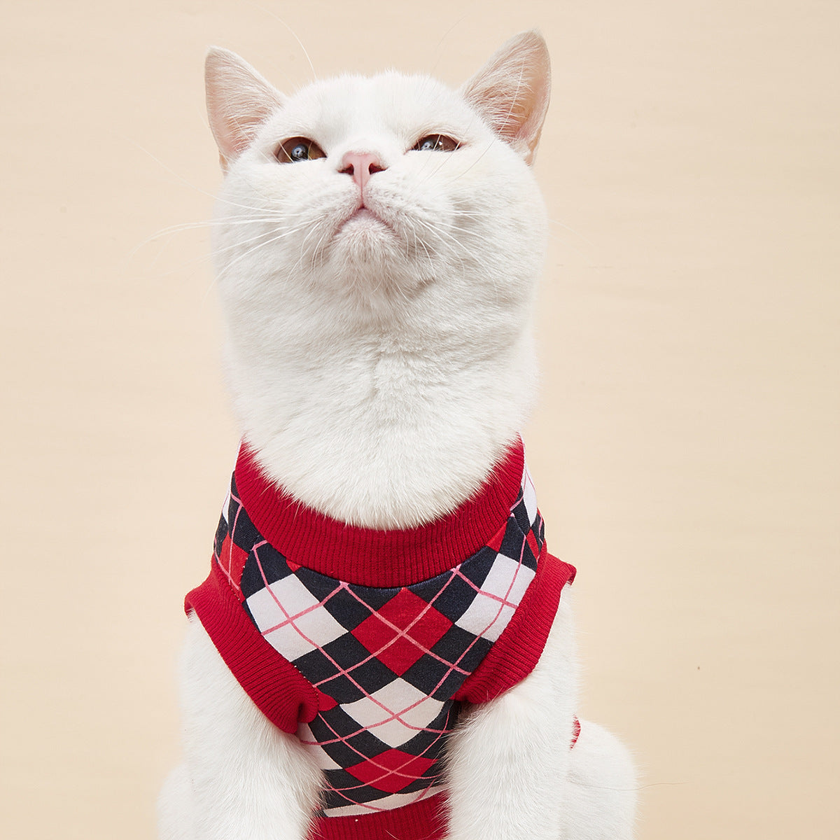 Cotton Pet Vest Outfit for Polished Spring-Summer Walks