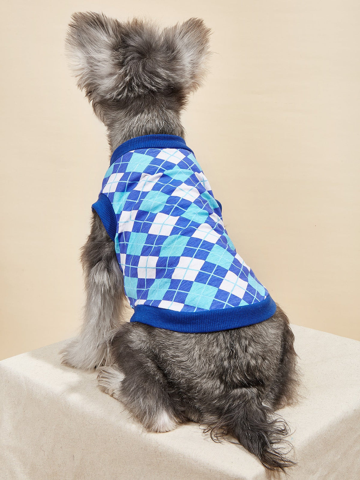 Cotton Pet Vest Outfit for Polished Spring-Summer Walks