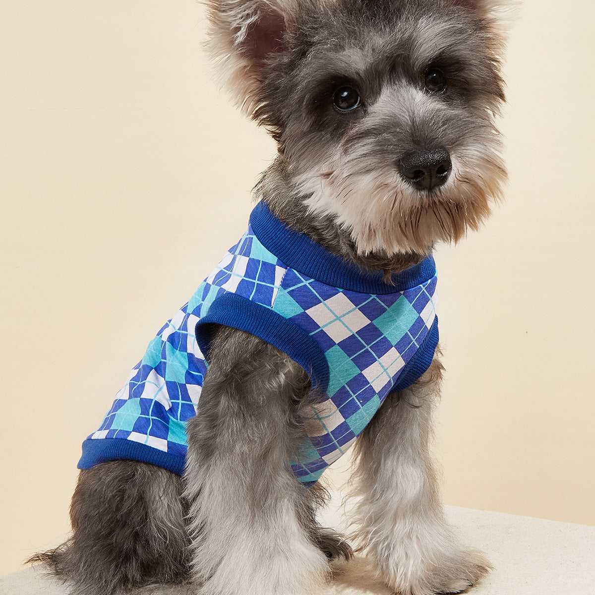 Cotton Pet Vest Outfit for Polished Spring-Summer Walks