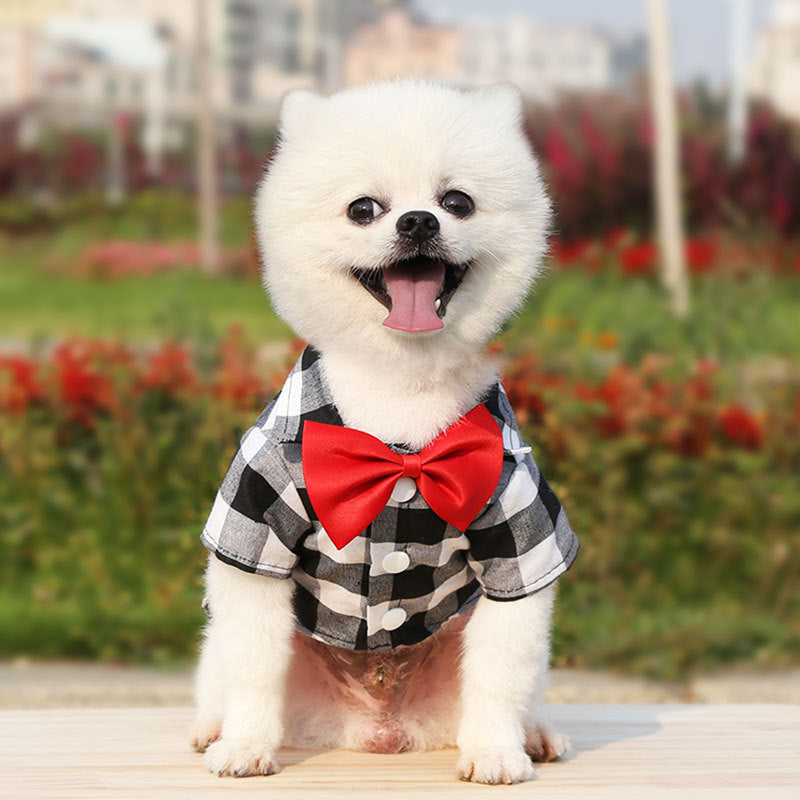 Plaid Dog Shirt With Bow Tie for Wedding-Ready Photos