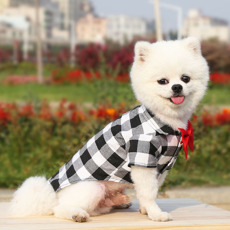 Plaid Dog Shirt With Bow Tie for Wedding-Ready Photos