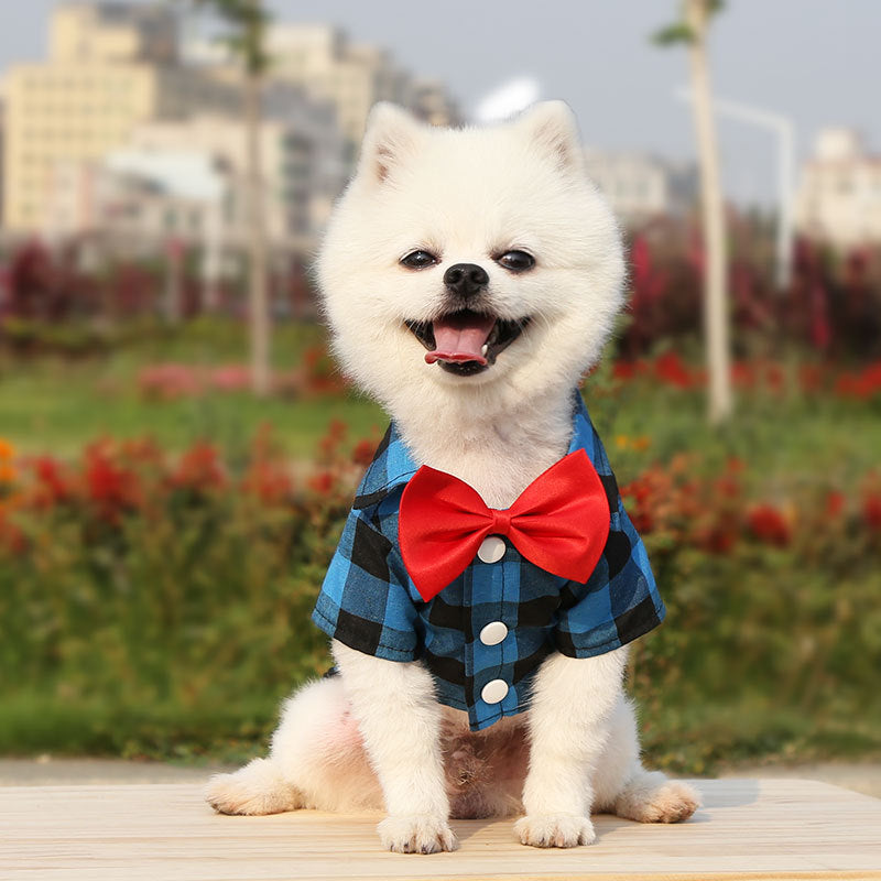 Plaid Dog Shirt With Bow Tie for Wedding-Ready Photos