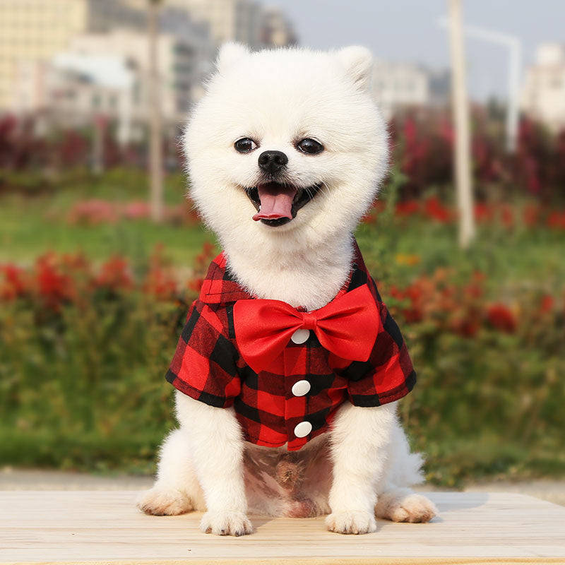 Plaid Dog Shirt With Bow Tie for Wedding-Ready Photos
