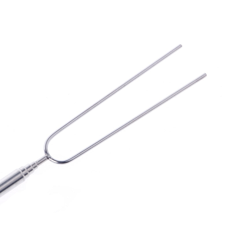 Extendable Stainless Steel Marshmallow Roasting Sticks