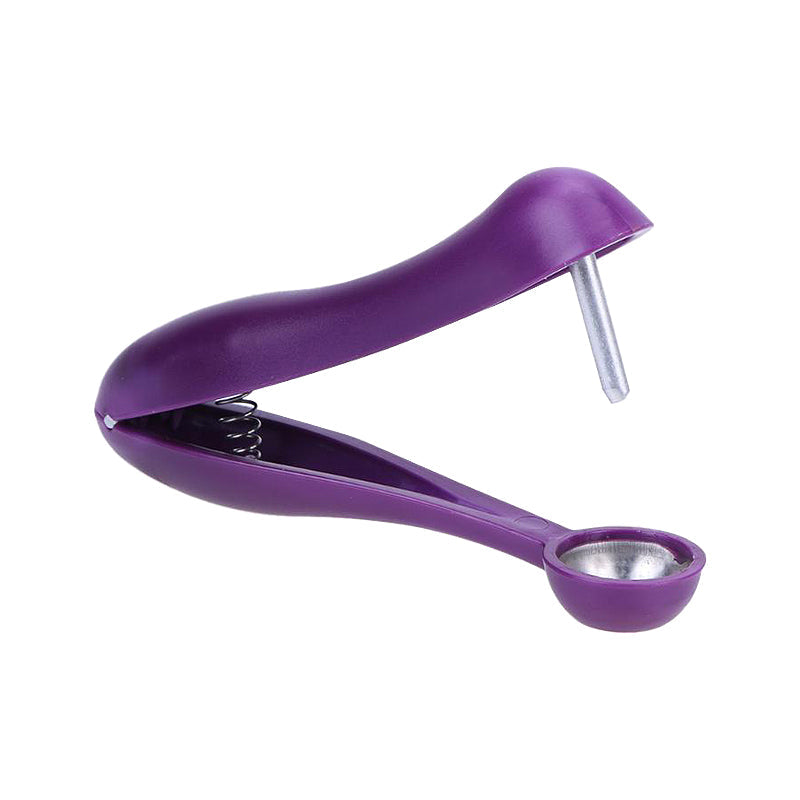 Stainless Steel Cherry Pitter for Whole Fruit