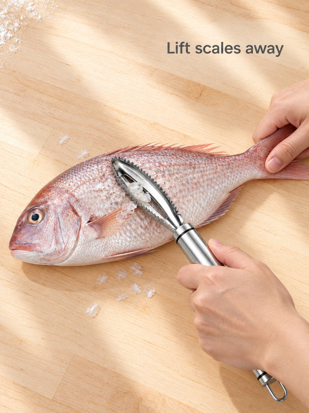 304 Stainless Steel Fish Scaler With Serrated Blade