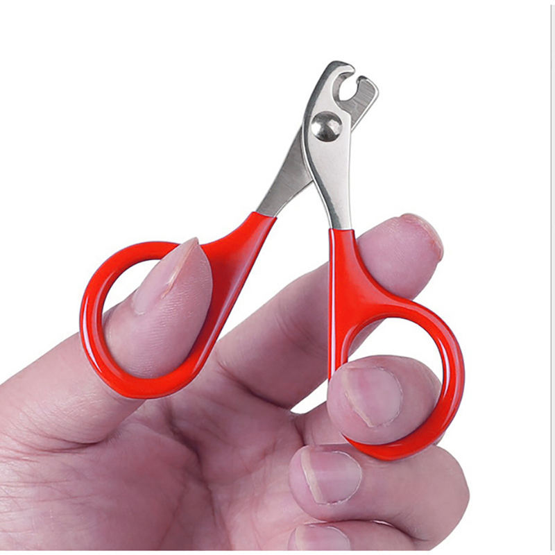 Cat Nail Scissors for Precise, Controlled Home Trims