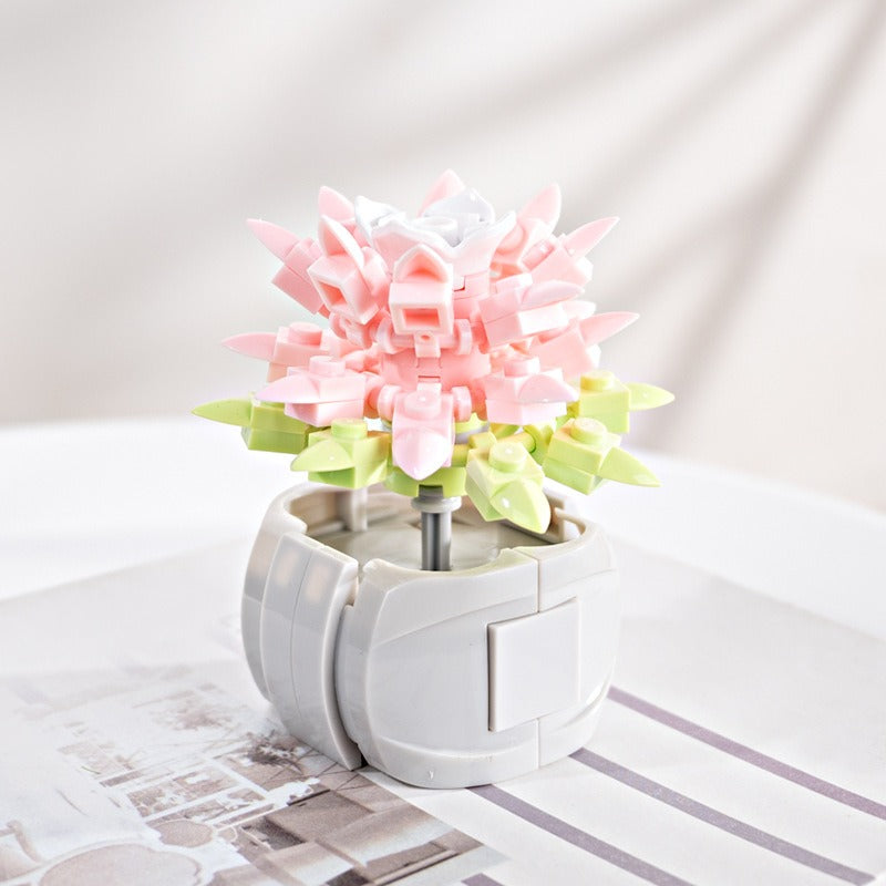 Succulent Building Blocks for Colorful Desktop Decor