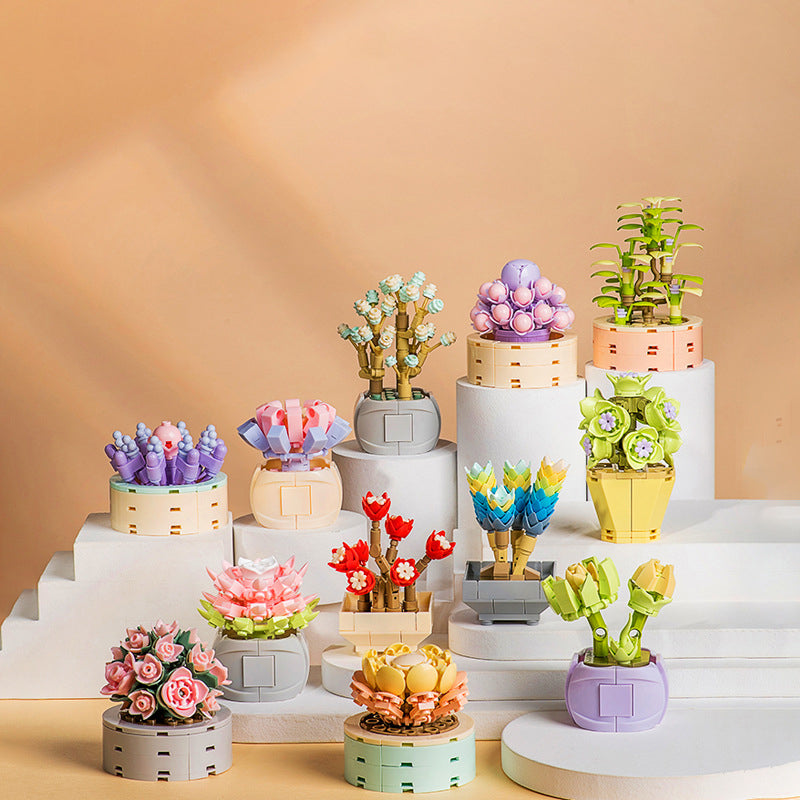 Succulent Building Blocks for Colorful Desktop Decor