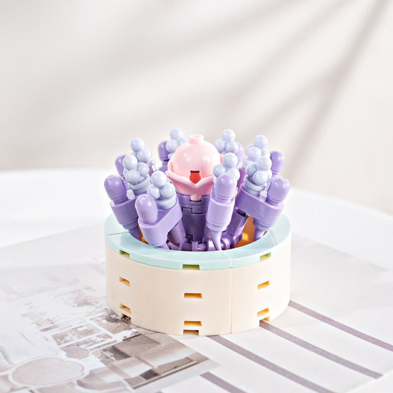 Succulent Building Blocks for Colorful Desktop Decor