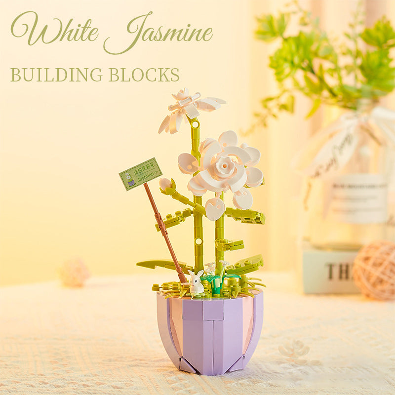 Succulent Building Blocks for Colorful Desktop Decor