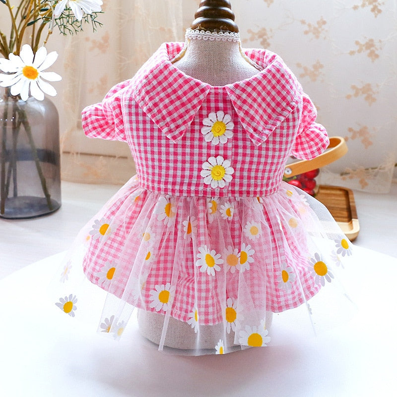 Summer Dog Dress with Breezy Daisy Tulle Skirt Outfit