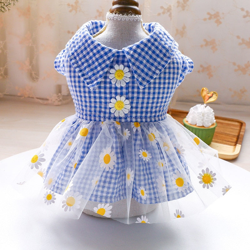 Summer Dog Dress with Breezy Daisy Tulle Skirt Outfit