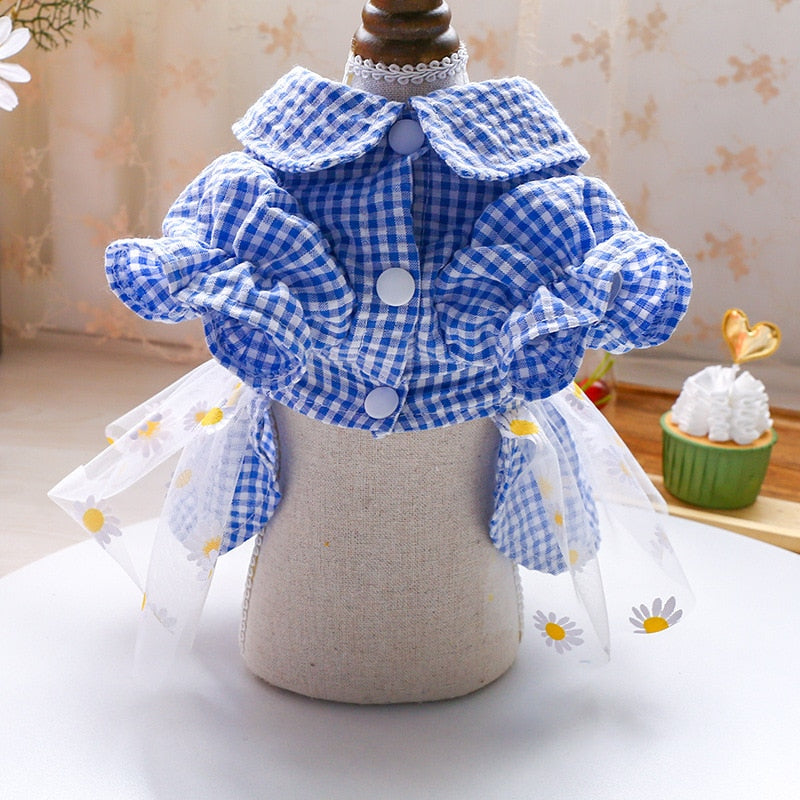 Summer Dog Dress with Breezy Daisy Tulle Skirt Outfit