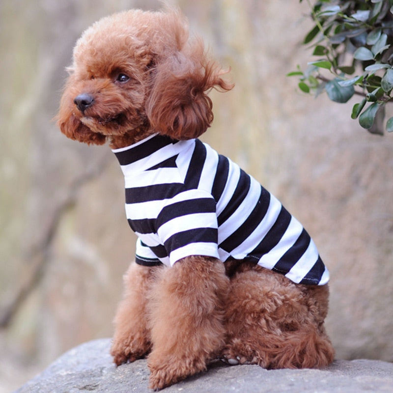 Striped Cotton Dog T-Shirt for Small Dogs & Cats Outings