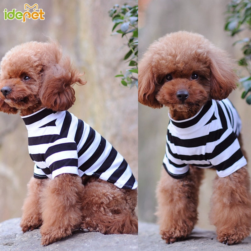Striped Cotton Dog T-Shirt for Small Dogs & Cats Outings