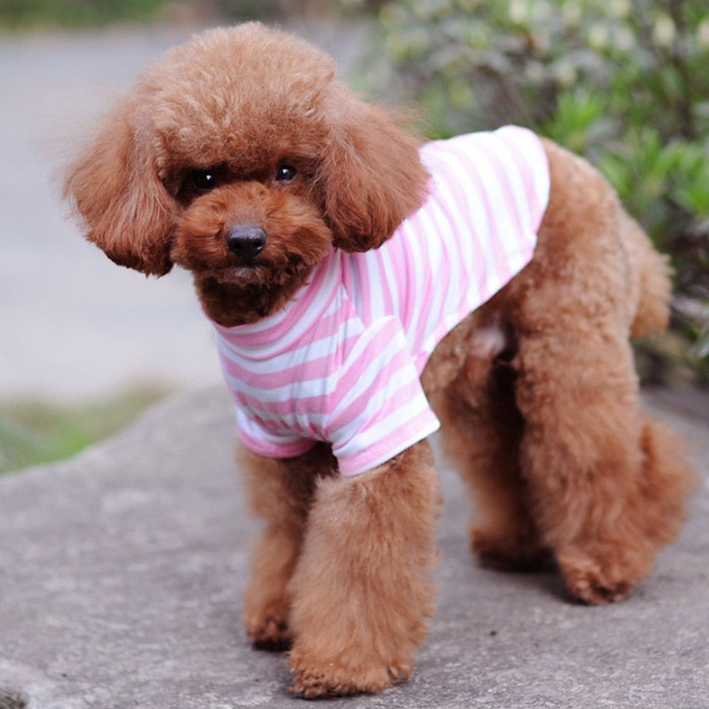 Striped Cotton Dog T-Shirt for Small Dogs & Cats Outings