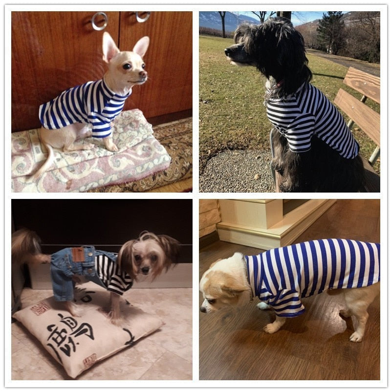 Striped Cotton Dog T-Shirt for Small Dogs & Cats Outings