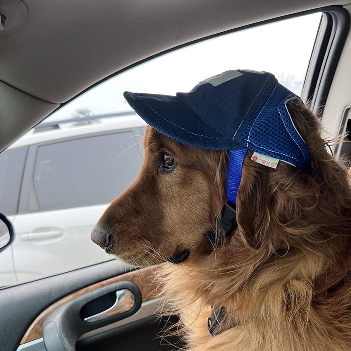 Pet Sun Hat with Breathable Mesh for Outdoor Shade
