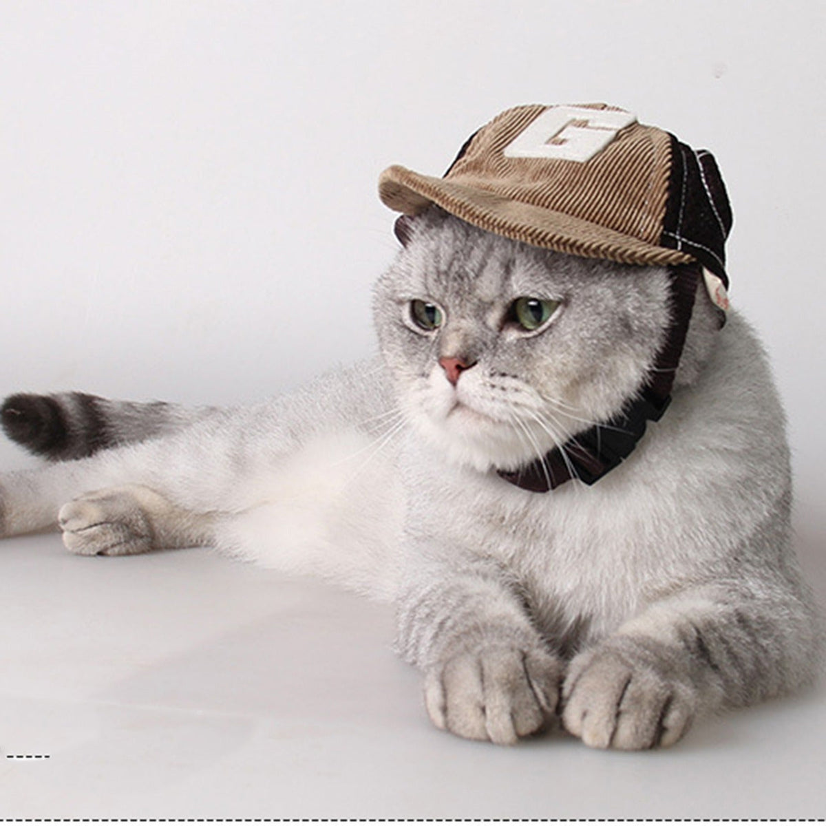 Pet Sun Hat with Breathable Mesh for Outdoor Shade