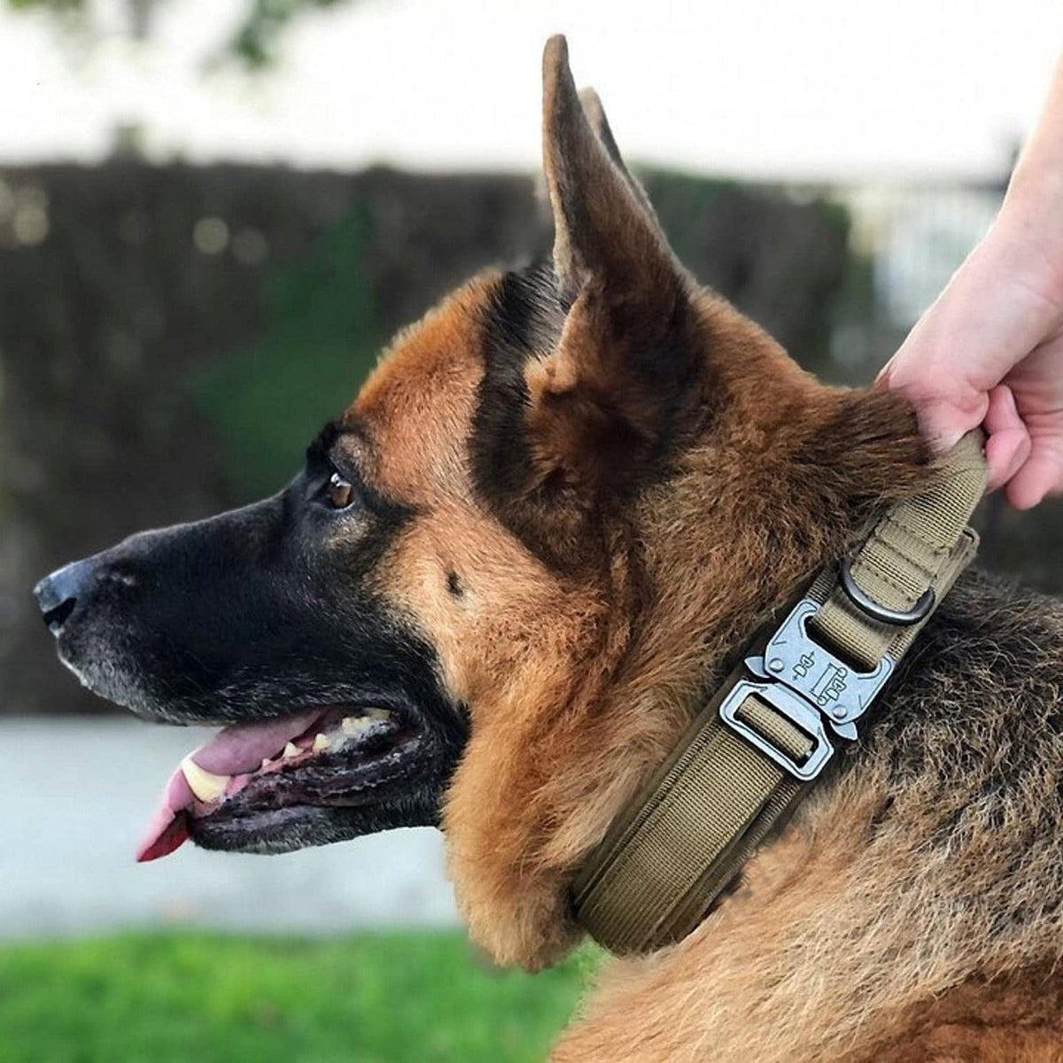Tactical Dog Collar With Padded Comfort and Control