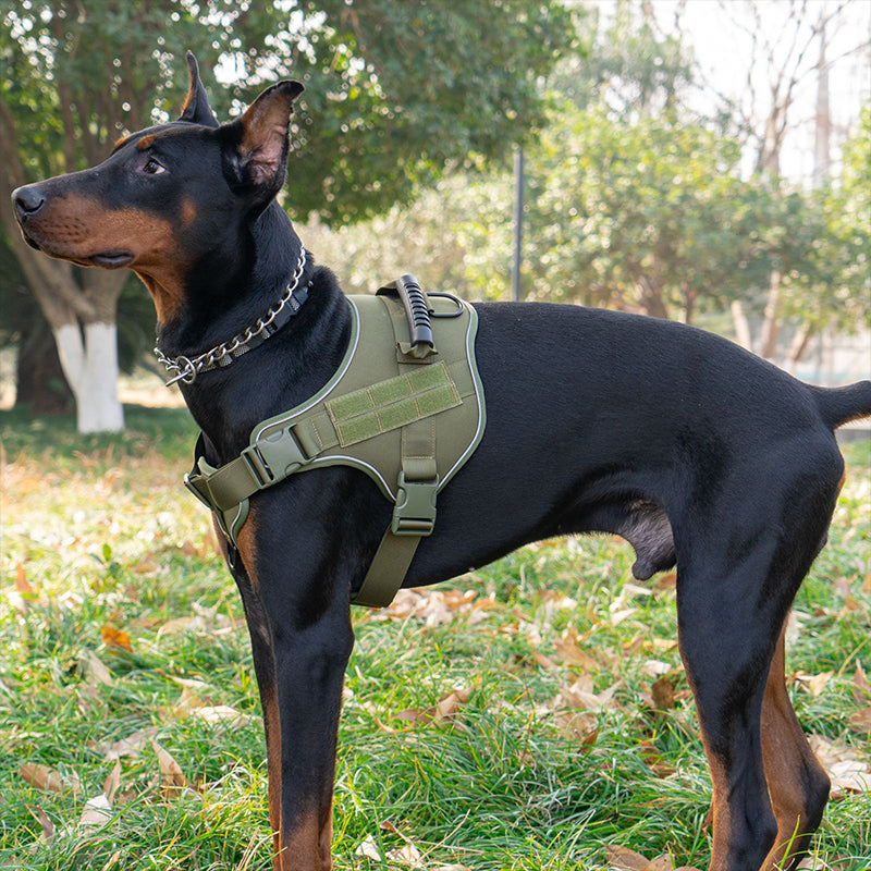Tactical Dog Vest for Secure Control of Large Dogs