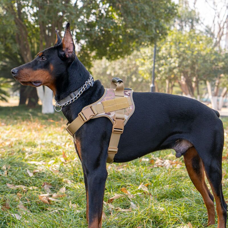 Tactical Dog Vest for Secure Control of Large Dogs